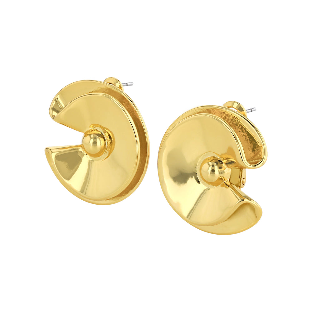 My wish earrings