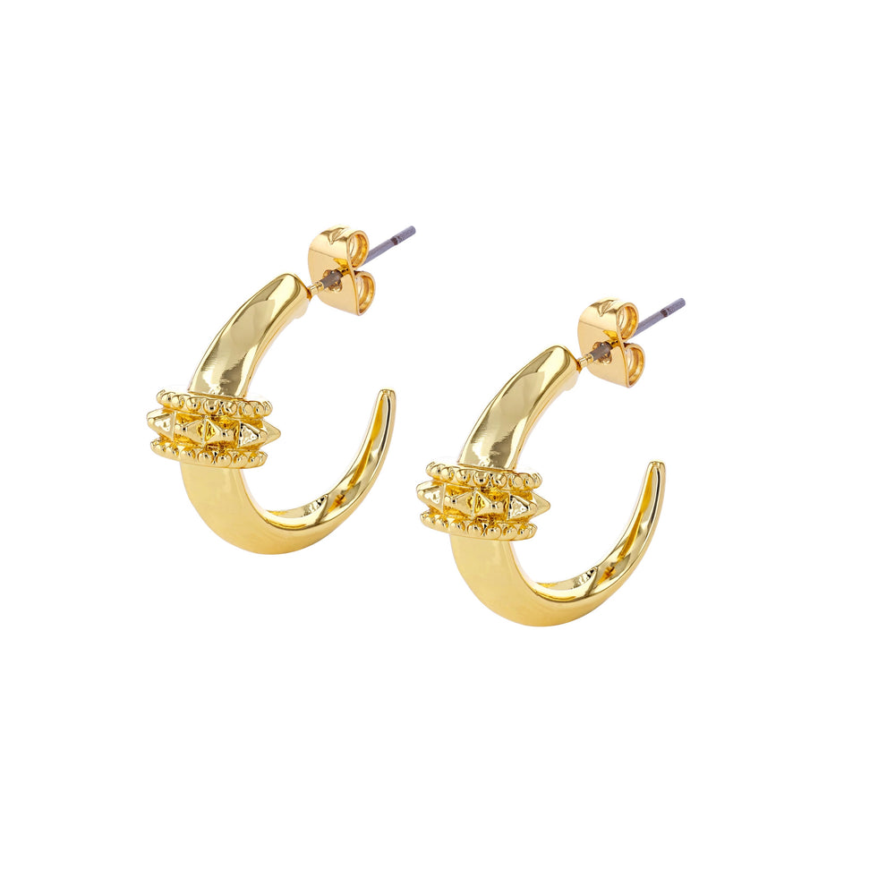 Royalty hoop earrings