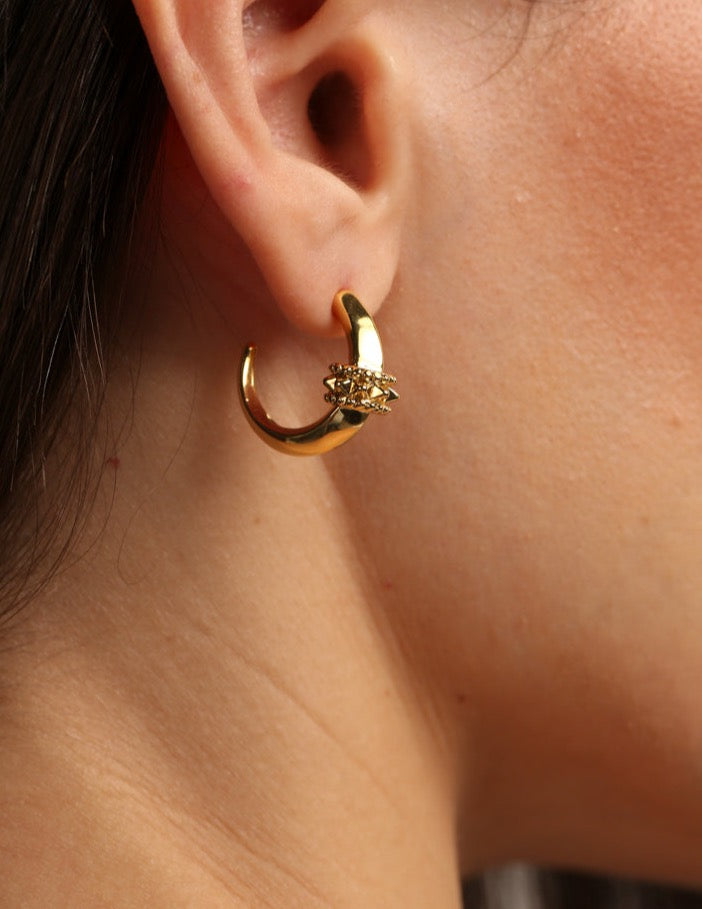 Royalty hoop earrings